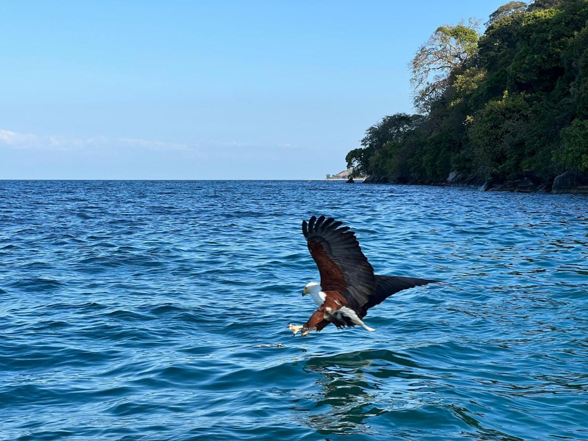 Butterfly Space- A Non-Profit Eco-Lodge Nkhata Bay ภายนอก รูปภาพ