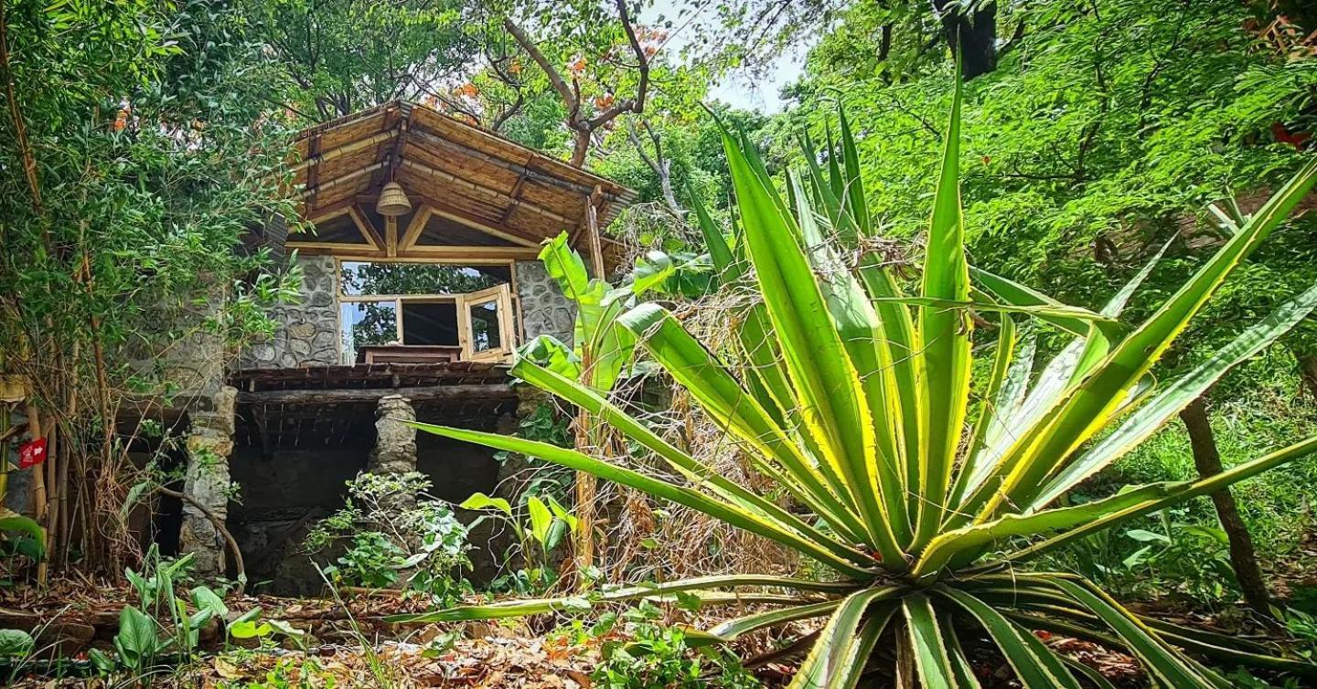 Butterfly Space- A Non-Profit Eco-Lodge Nkhata Bay ภายนอก รูปภาพ