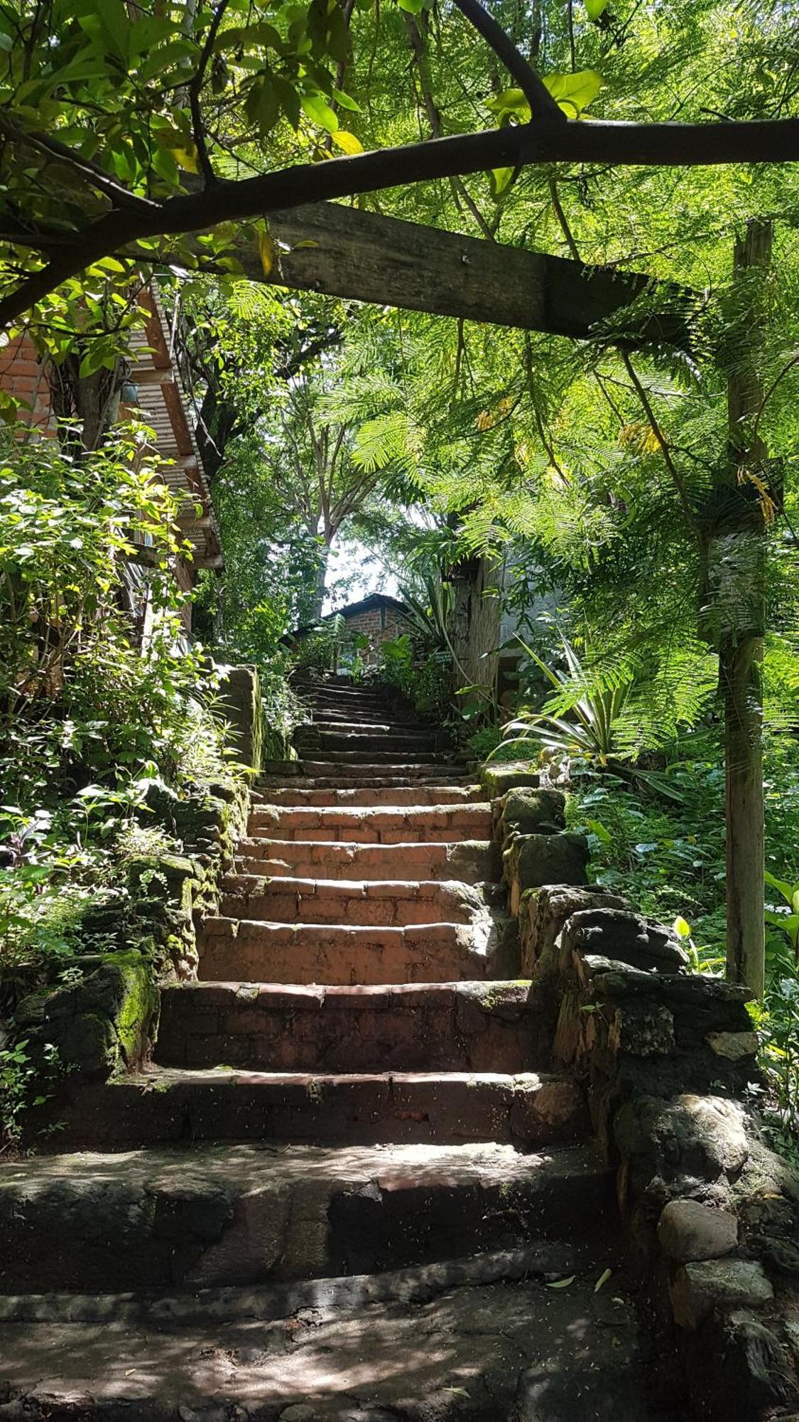 Butterfly Space- A Non-Profit Eco-Lodge Nkhata Bay ภายนอก รูปภาพ