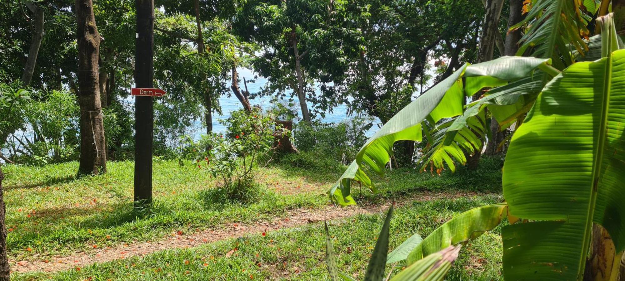 Butterfly Space- A Non-Profit Eco-Lodge Nkhata Bay ภายนอก รูปภาพ