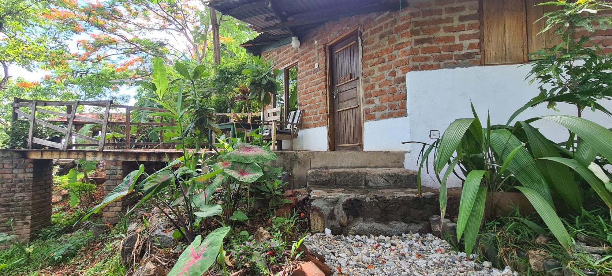 Butterfly Space- A Non-Profit Eco-Lodge Nkhata Bay ภายนอก รูปภาพ