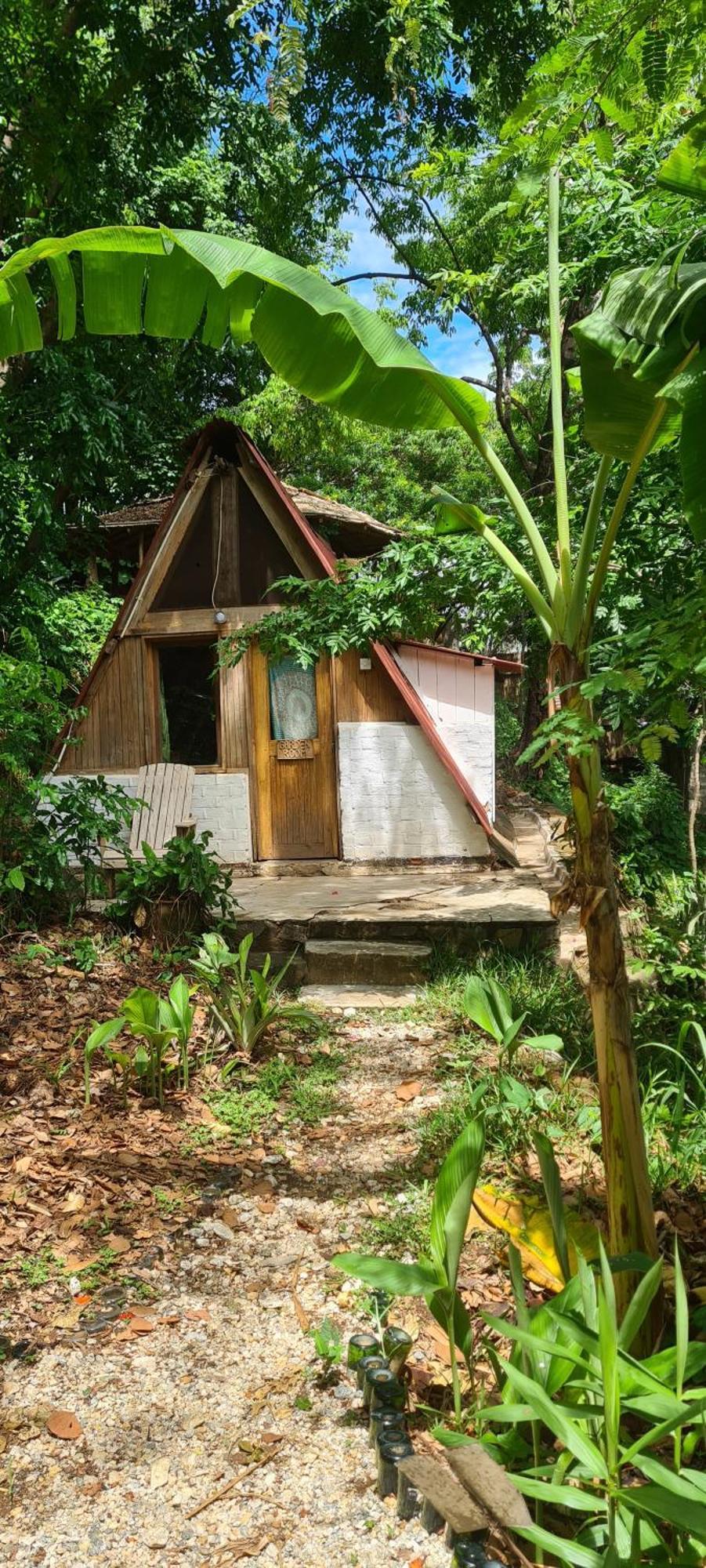 Butterfly Space- A Non-Profit Eco-Lodge Nkhata Bay ภายนอก รูปภาพ